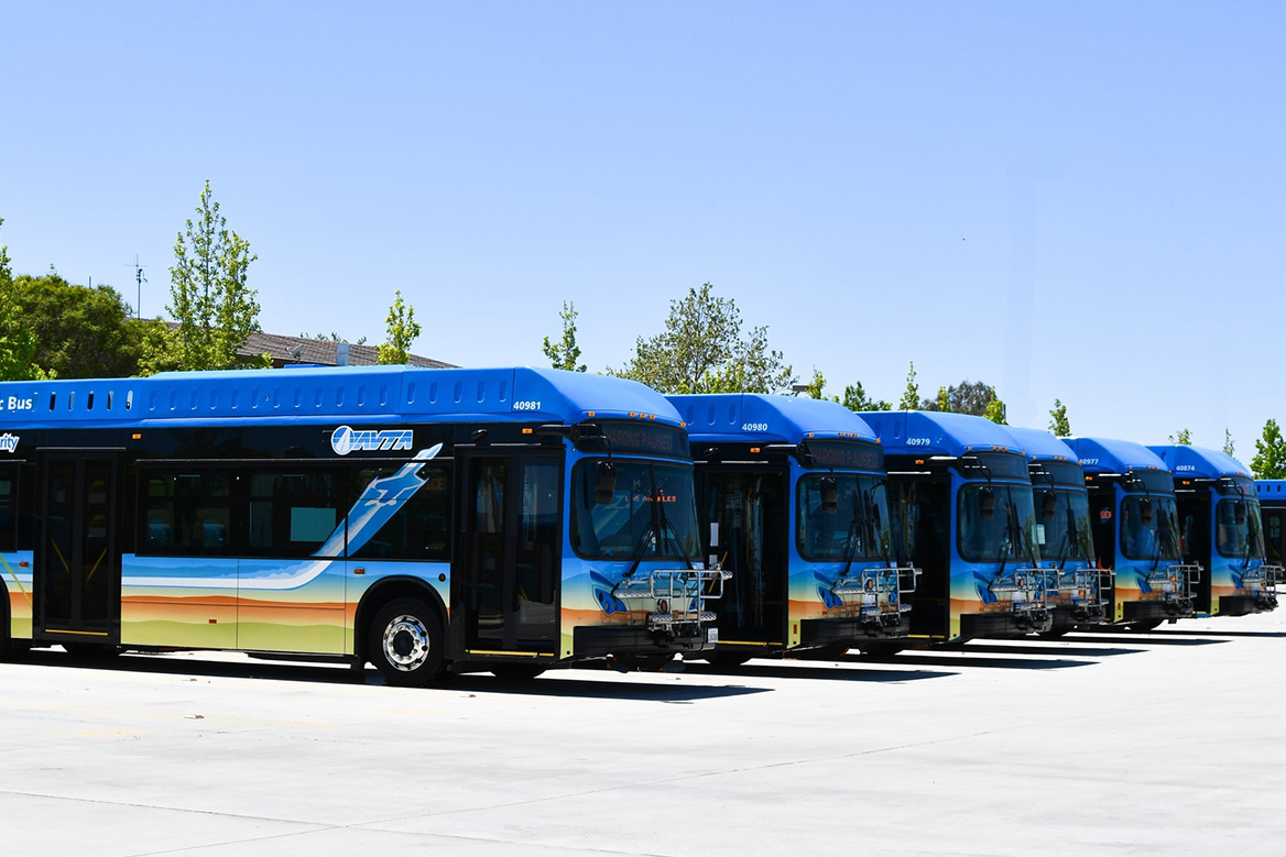 A fleet of AVTA busses lined up.